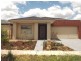 19 Woolybush Street, Tarneit VIC 3029