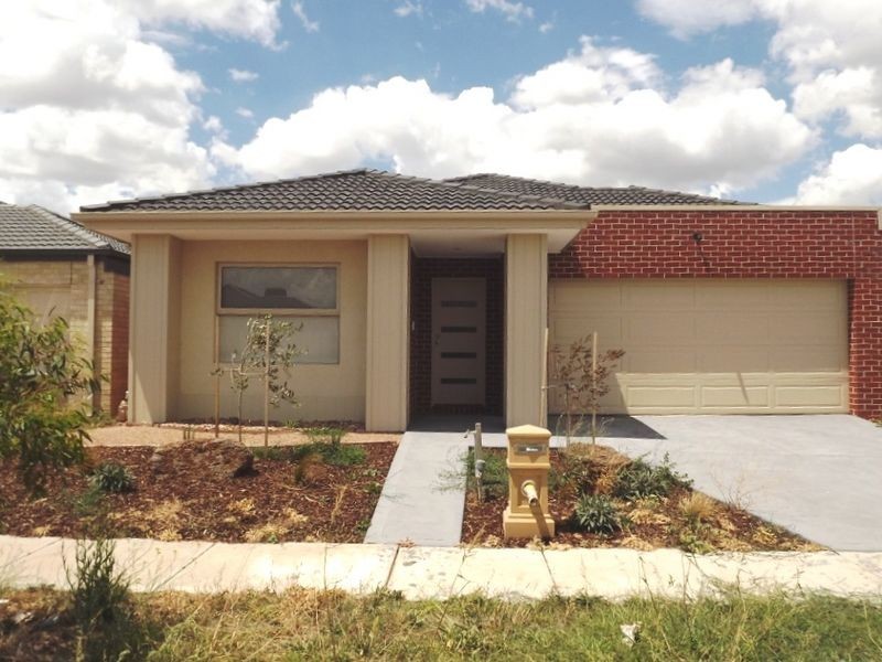 19 Woolybush Street, Tarneit VIC 3029