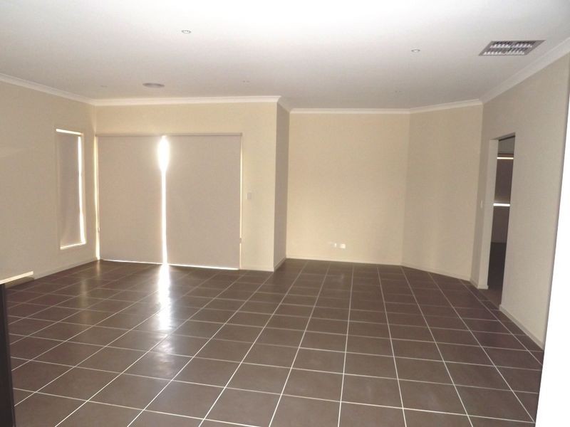 19 Woolybush Street, Tarneit VIC 3029