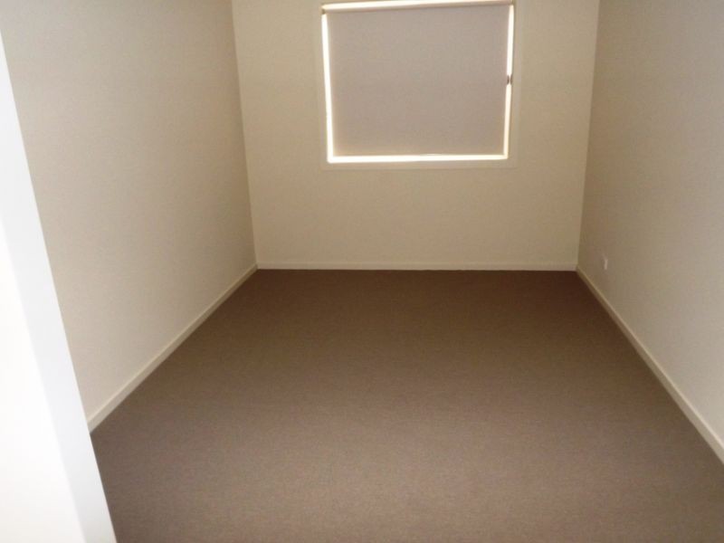 19 Woolybush Street, Tarneit VIC 3029