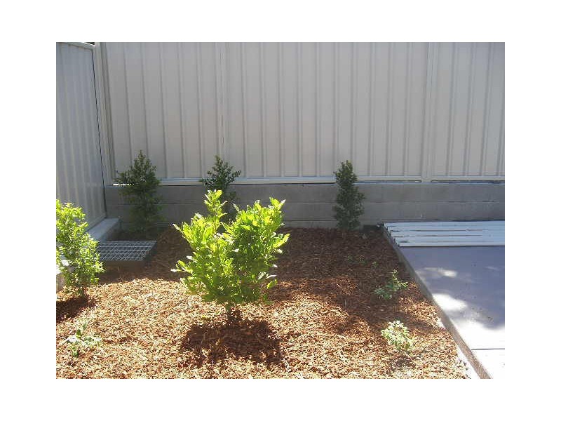 Unit 1/33 Martindale Street, Wallsend NSW 2287