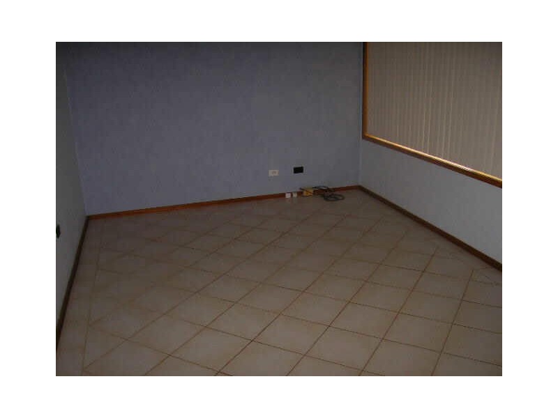 81 Brown Street, West Wallsend NSW 2286