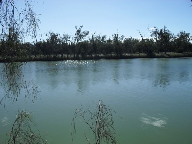 Allotment Pelican Point, Morgan SA 5320