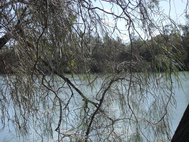 Allotment Pelican Point, Morgan SA 5320