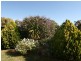 Allotment Magazine Road, Kadina SA 5554