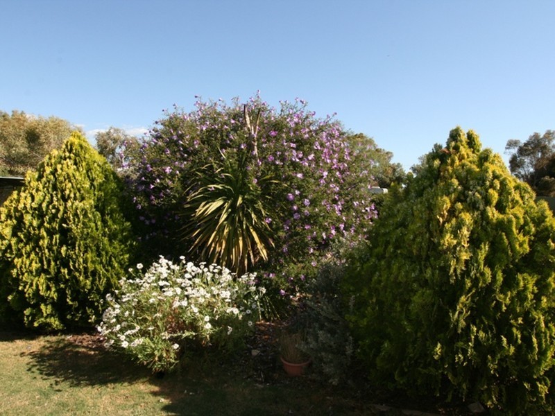 Allotment Magazine Road, Kadina SA 5554