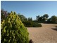 Allotment Magazine Road, Kadina SA 5554