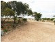 Allotment Magazine Road, Kadina SA 5554