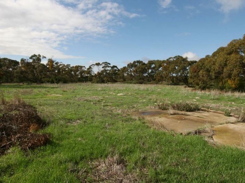 45 West Terrace, Cunliffe SA 5554