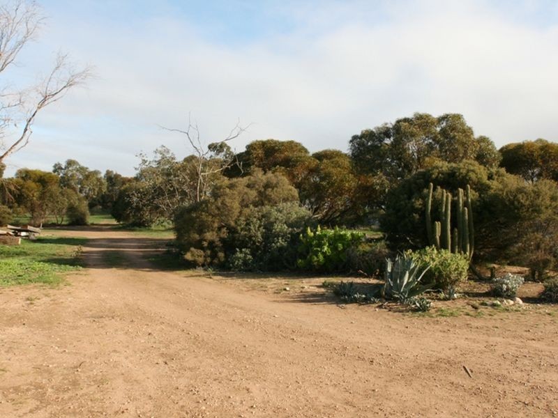 55 Tickera Road, Alford SA 5555