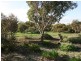 55 Tickera Road, Alford SA 5555