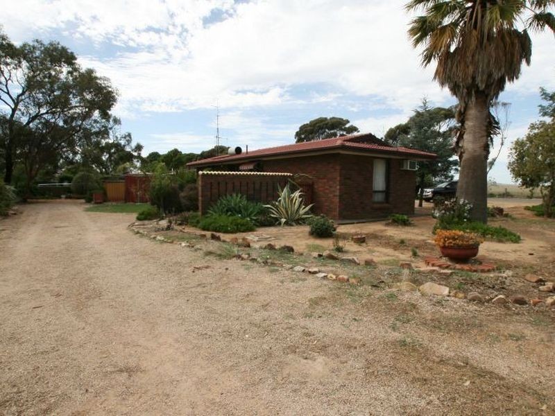 7 Frederick Street, Bute SA 5560