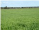967 Bute Road, Kadina SA 5554