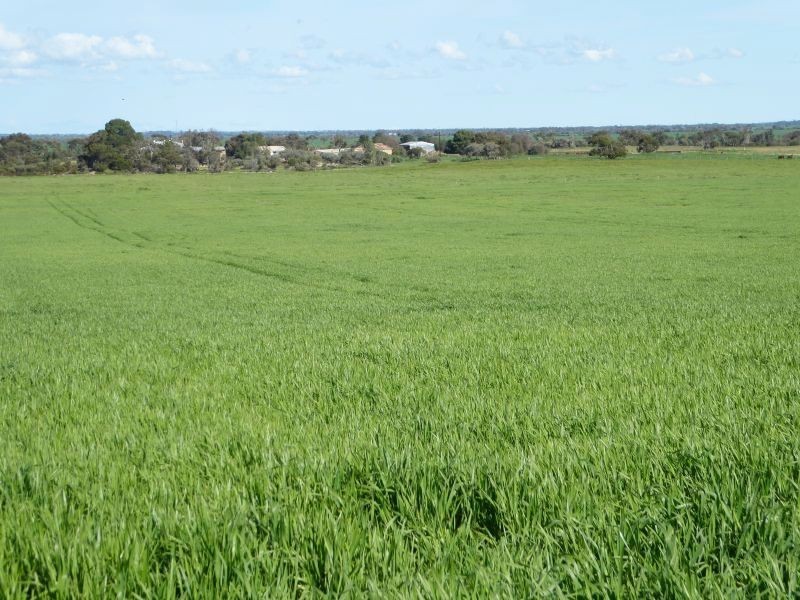967 Bute Road, Kadina SA 5554