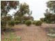 11 Thomas Plains Road, Kadina SA 5554