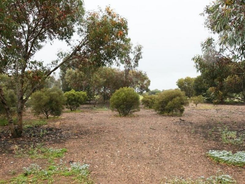 11 Thomas Plains Road, Kadina SA 5554