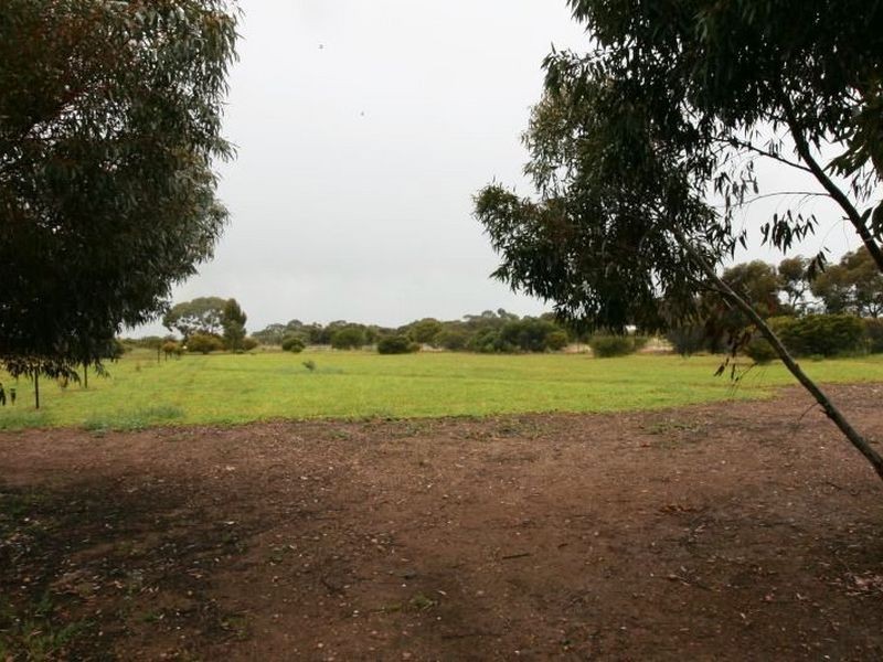11 Thomas Plains Road, Kadina SA 5554