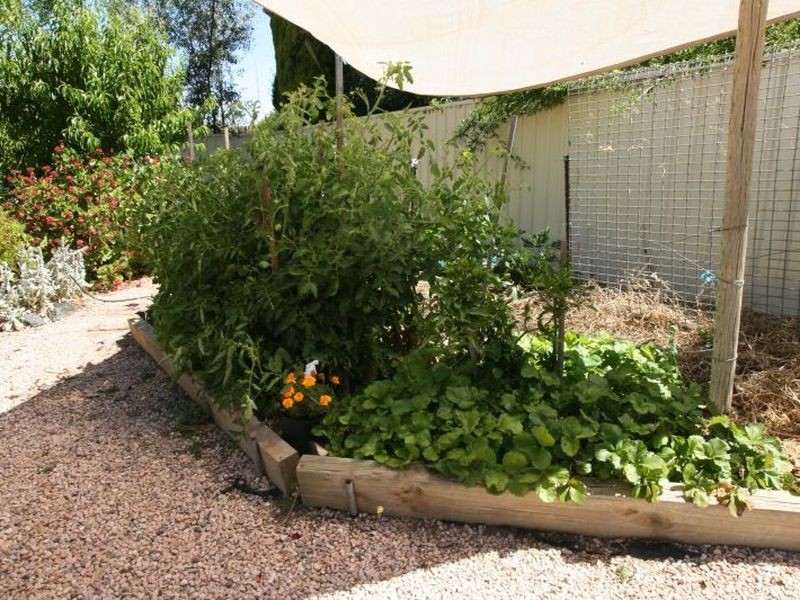 24 Gawler Street, Kadina SA 5554