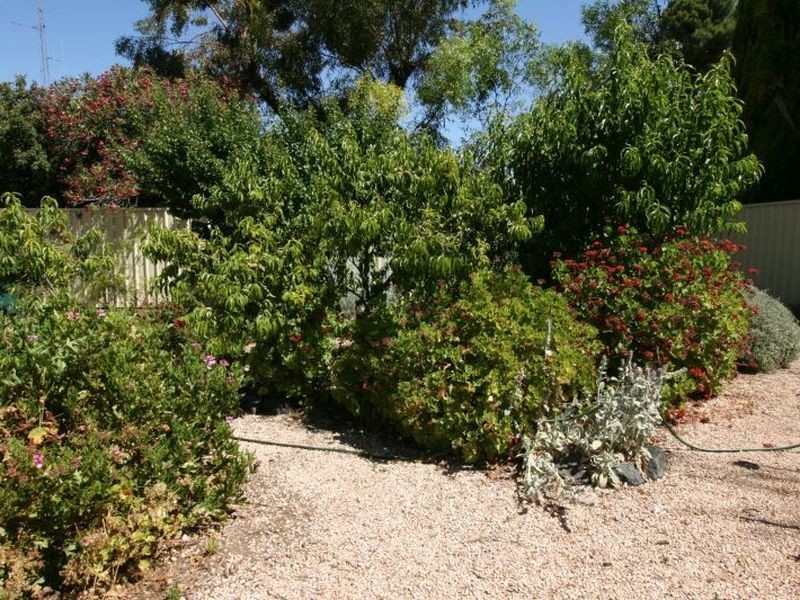 24 Gawler Street, Kadina SA 5554