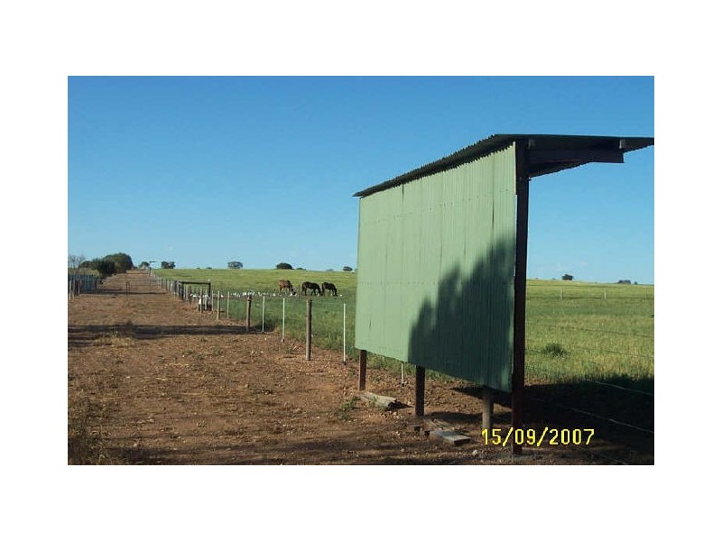 Sect/207 – 213 Hundred of Kadina, Kadina SA 5554