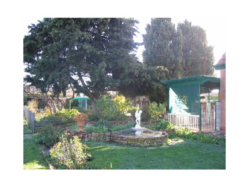 51 Frances Terrace, Kadina SA 5554