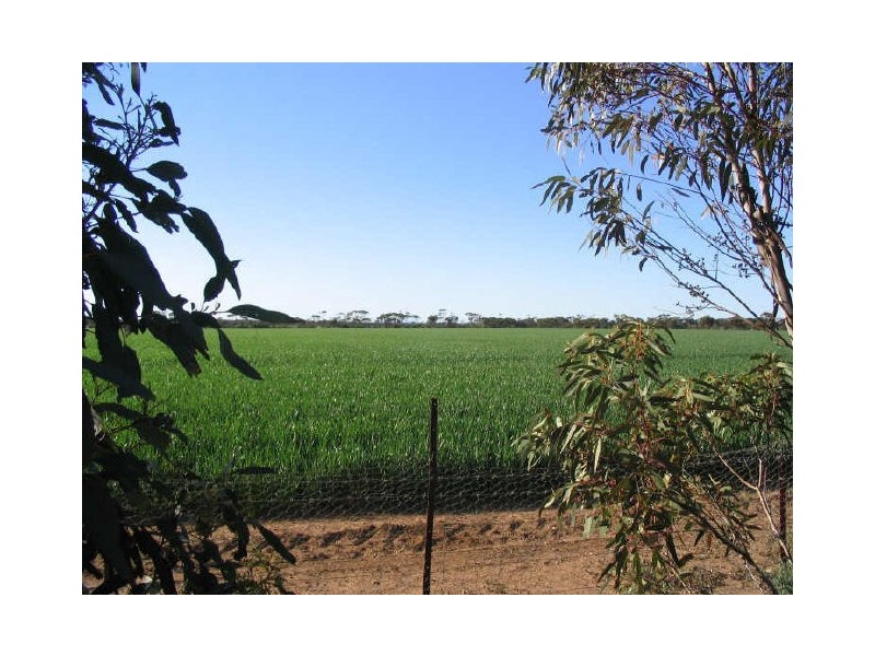 Lot 1 West Park Road, Bute SA 5560