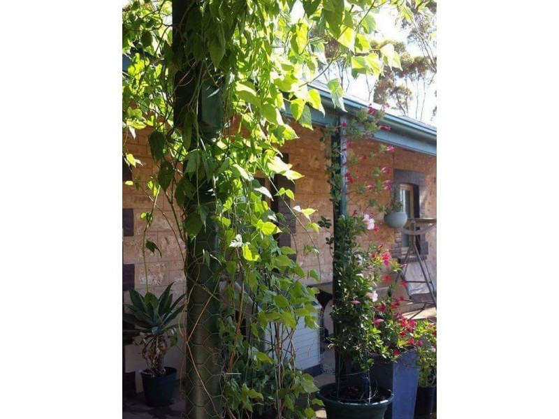 1292 Mail Road, South Hummocks, Port Wakefield SA 5550