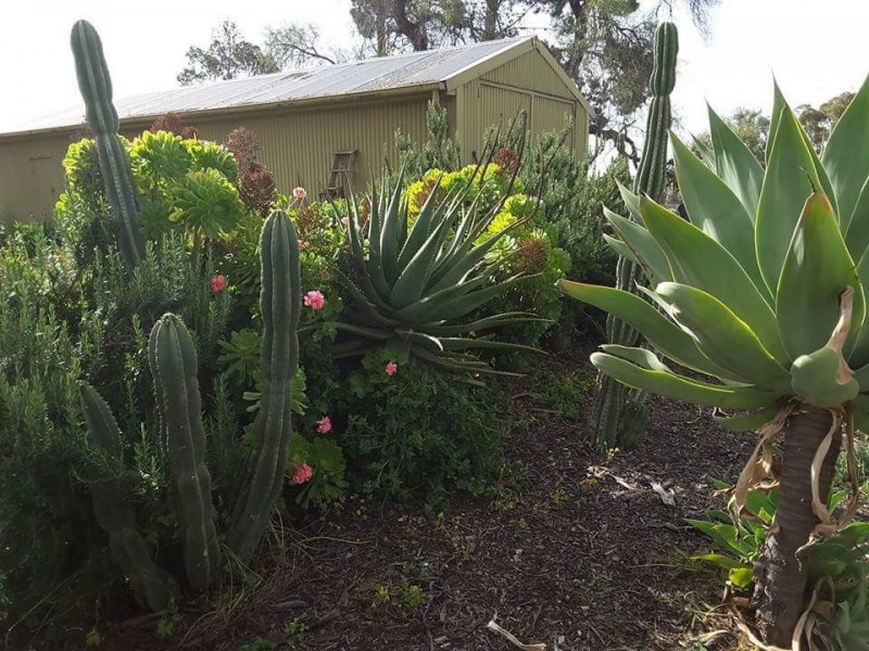 1292 Mail Road, South Hummocks, Port Wakefield SA 5550