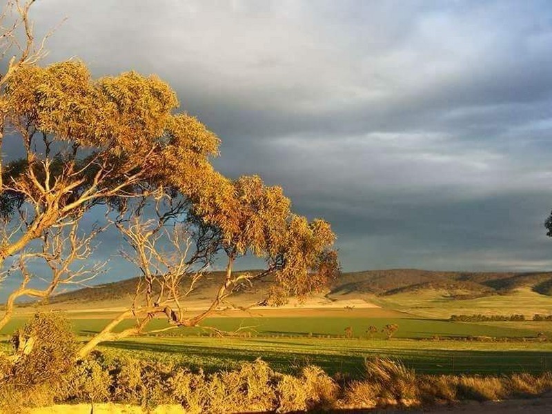 1292 Mail Road, South Hummocks, Port Wakefield SA 5550