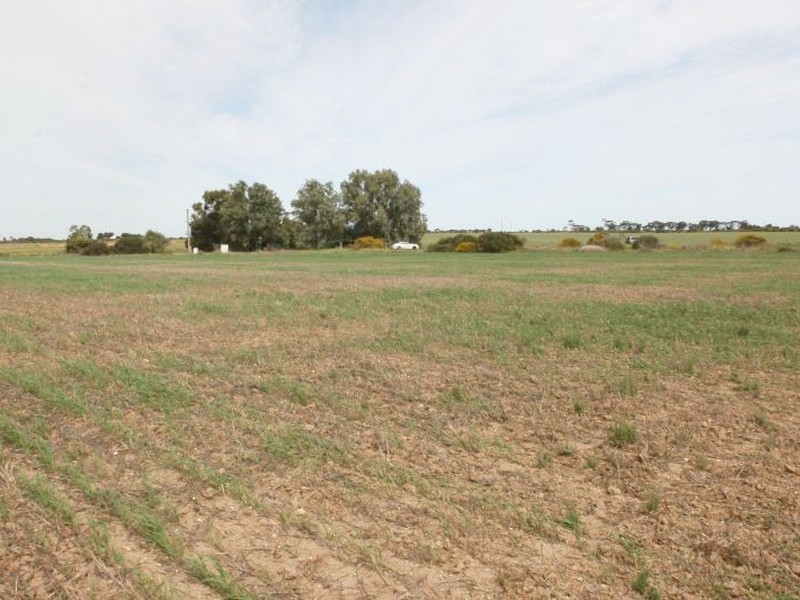 Lot 101 Donaldson Road, Kadina SA 5554