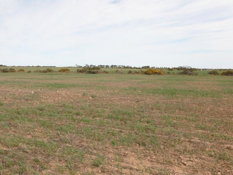 Lot 102 Donaldson Road, Kadina SA 5554
