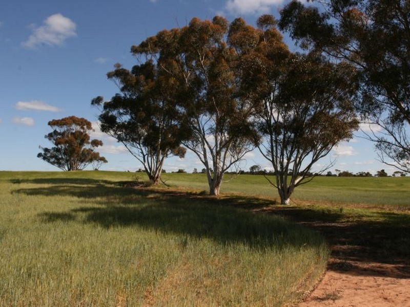 Section 42 Youngs Road, Port Broughton SA 5522