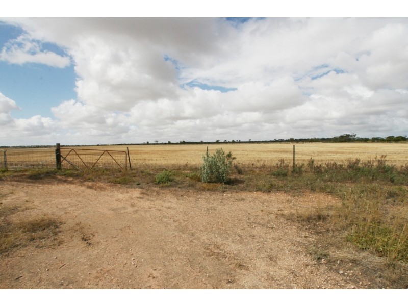 Section/1312 Mines Road, Kadina SA 5554