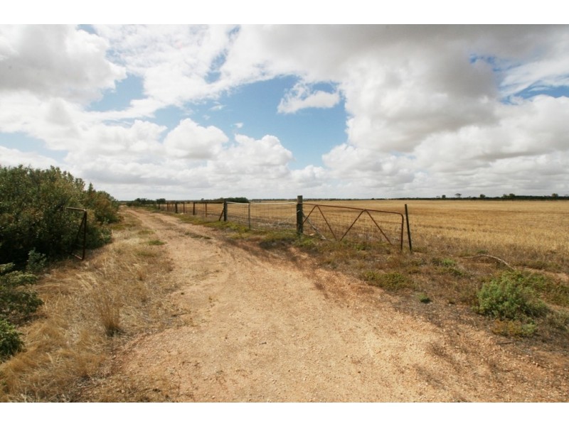 Section/1312 Mines Road, Kadina SA 5554