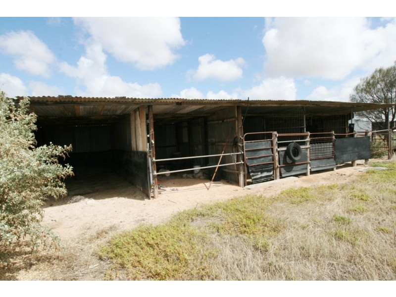 Section/1312 Mines Road, Kadina SA 5554