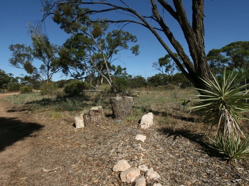 891 Thrington Road, Boors Plain SA 5554
