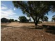 891 Thrington Road, Boors Plain SA 5554
