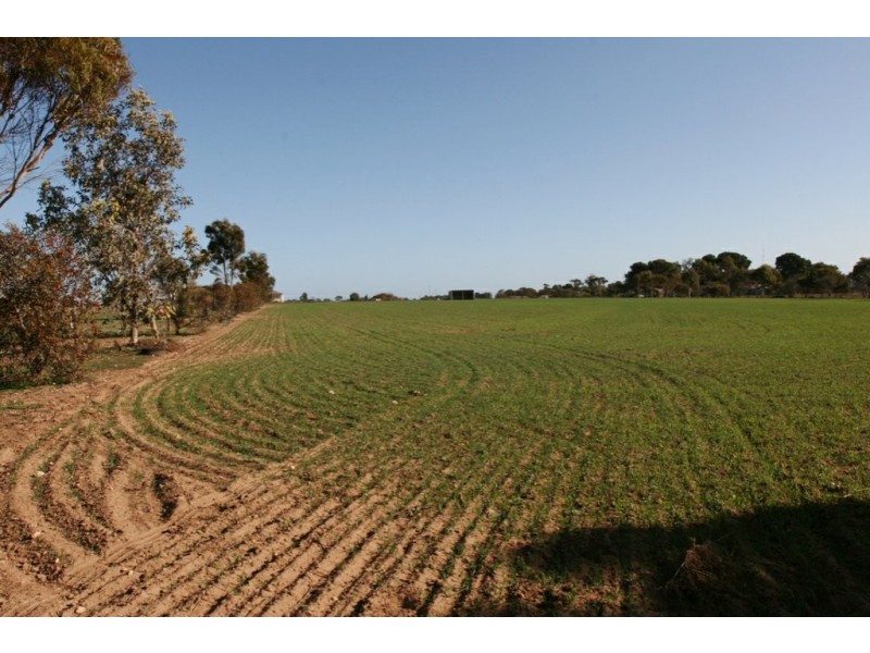 53 Hawke Road, Kadina SA 5554