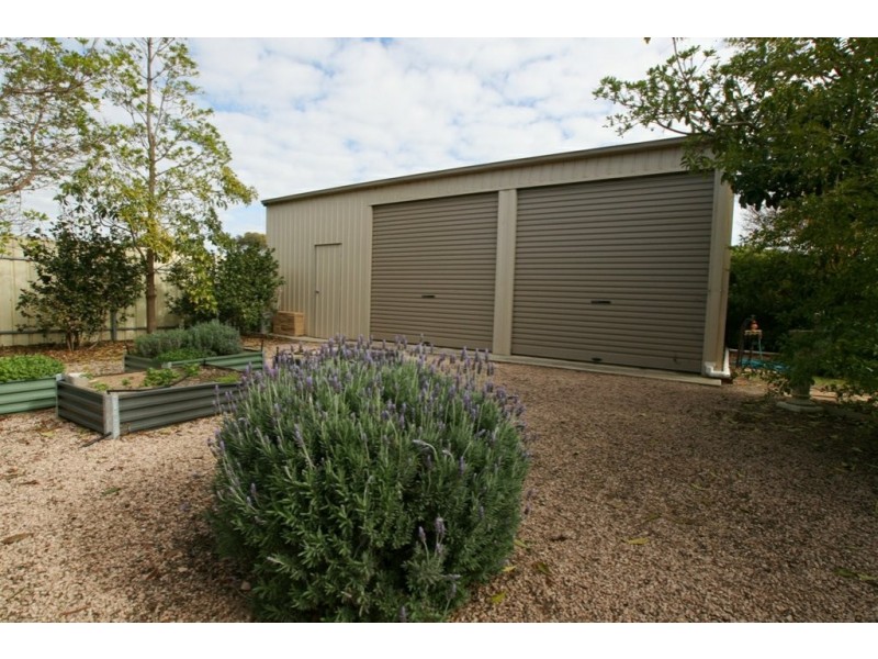 13 Powell Terrace, Kadina SA 5554