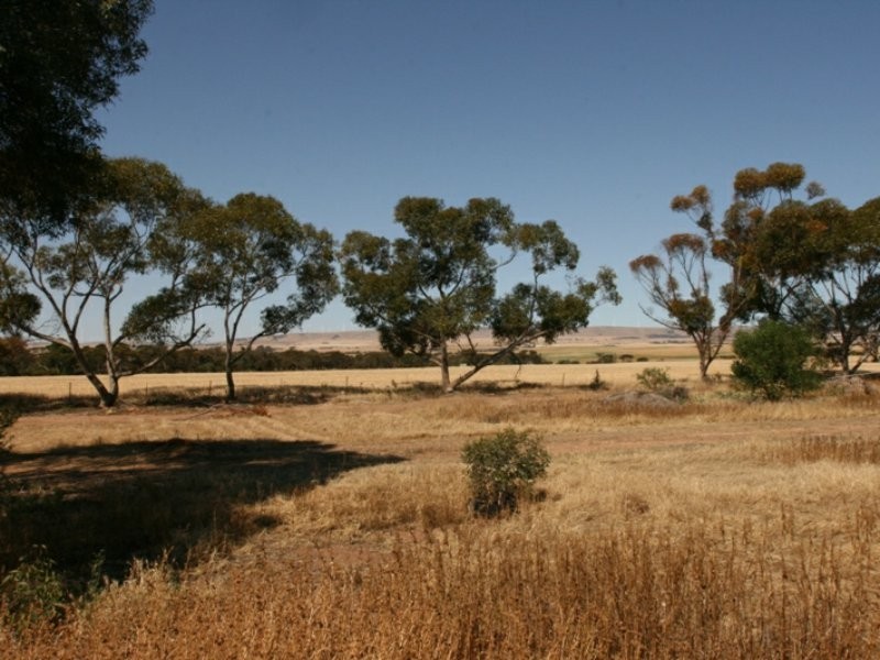 5 Upper Yorke Road, Bute SA 5560