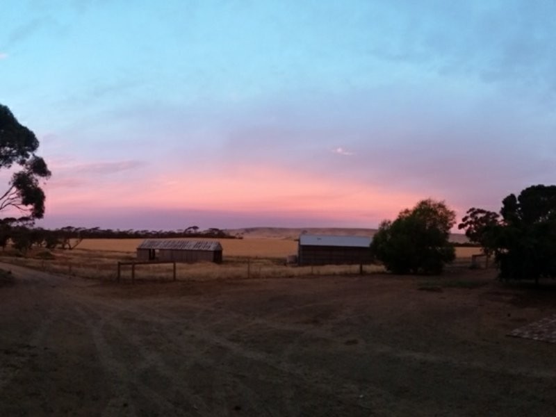 658 Barunga Gap Road, Bute SA 5560