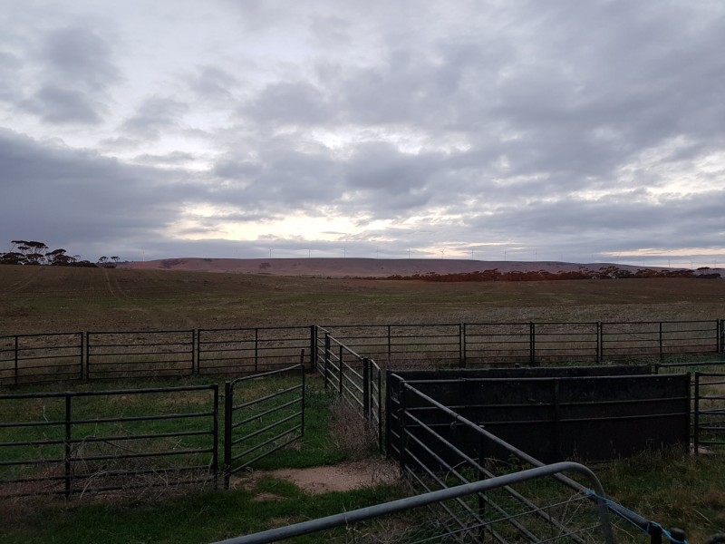 658 Barunga Gap Road, Bute SA 5560