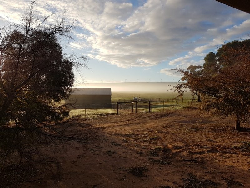 658 Barunga Gap Road, Bute SA 5560