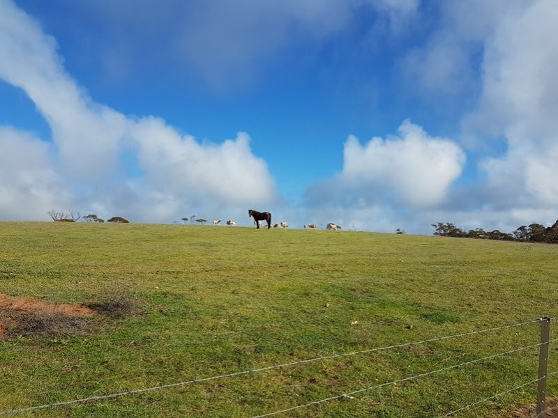 658 Barunga Gap Road, Bute SA 5560