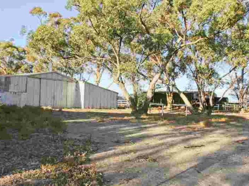 1 West Park Terrace, Bute SA 5560