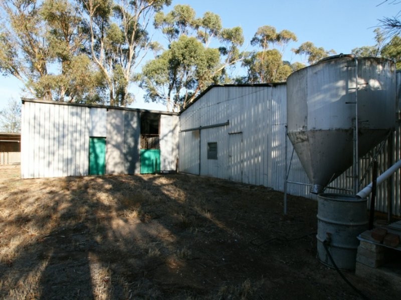 1 West Park Terrace, Bute SA 5560