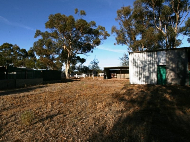 1 West Park Terrace, Bute SA 5560