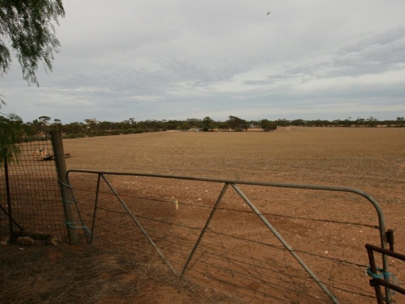 61 Barunga Gap Road, Bute SA 5560