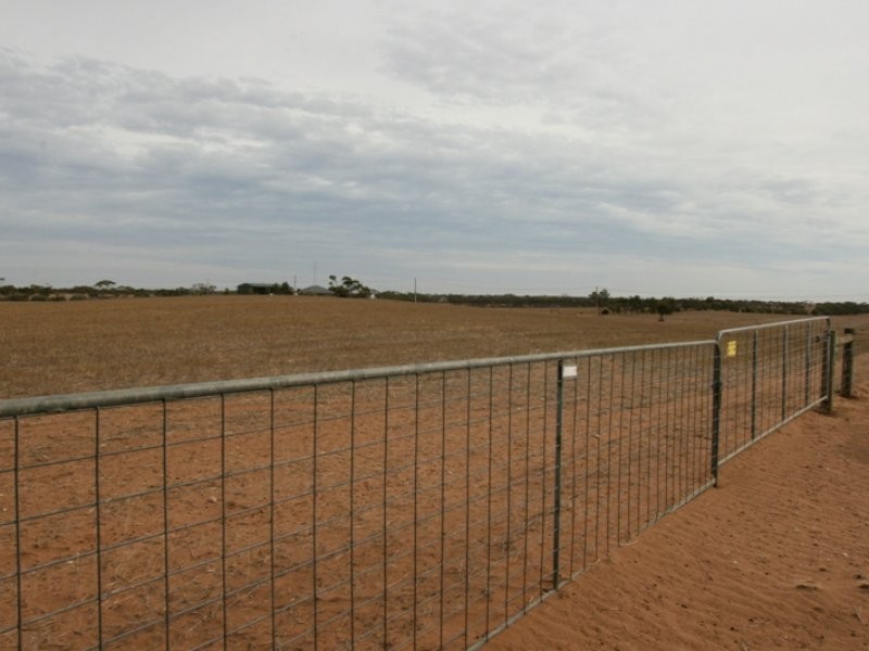 61 Barunga Gap Road, Bute SA 5560