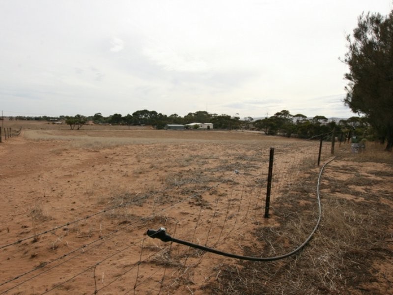 61 Barunga Gap Road, Bute SA 5560